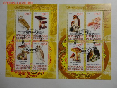 2 блока грибы и птицы до 11.05.2015 г. - DSC00165.JPG