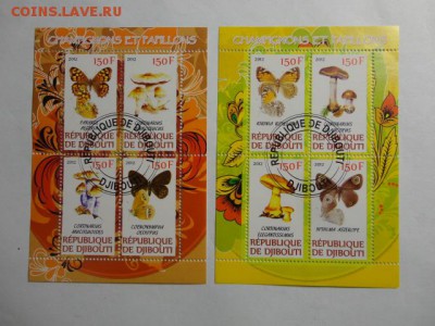 2 блока грибы и бабочки до 11.05.2015 г. - DSC00167.JPG