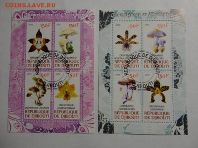 2 блока грибы до 11.05.2015 г. - DSC00168.JPG