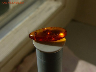 Камни из ювелирки - P1160432.JPG