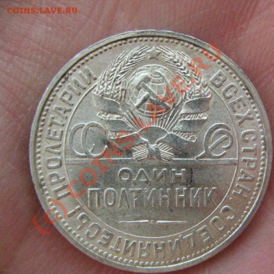 ПОЛТИННИК 1925г СИМПАТИШНЫЙ до 3.07.10 22-00 - 517.JPG