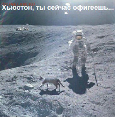 Любите ли вы кошек? - 2 rreew32