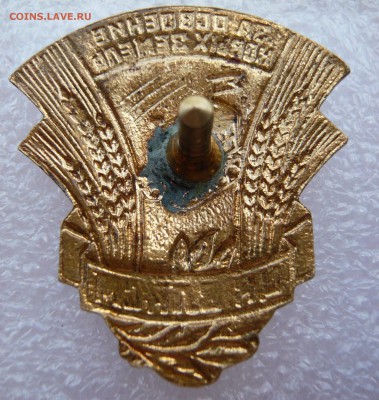 Знак ЦК ВЛКСМ "За освоение новых земель" до 12.05,в 19:00 - P1050084.JPG