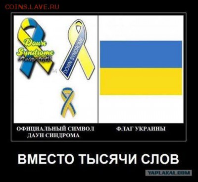 Ну а теперь про Украину - Дауны