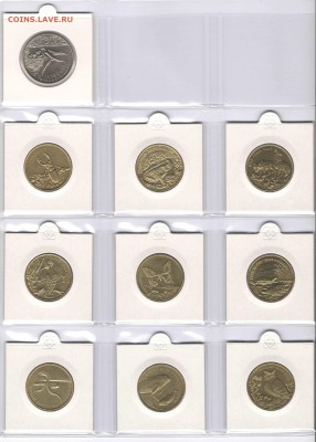 НАБОР ПОЛЬСКИХ ЖИВОТНЫХ+БОНУС, до 12.05.15г., 22.00 мск. - короли4