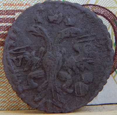 полушки 1731 перечеканы - DSCN7630.JPG