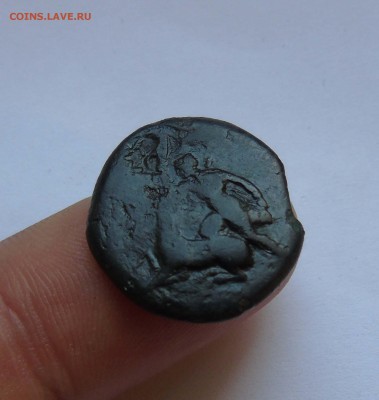 монета Херсонеса(дева-лань) надчекан(дельфин)до 11мая в22-00 - 1-хер