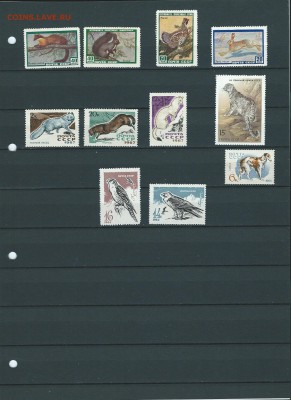 СССР. Почтовые марки. Фауна. - 41