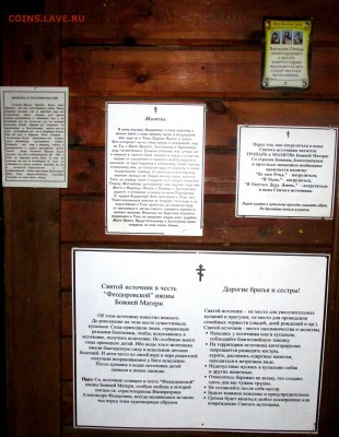 ФОТО - просто фото. Те что получились удачными. - IMG_3802