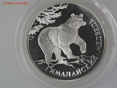 1 рубль 1994 Гималайский медведь До 14.05 22:00 МСК - DSC07028.JPG