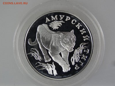 1 рубль 1993 Амурский Тигр До 14.05 22:00 МСК - DSC07053.JPG