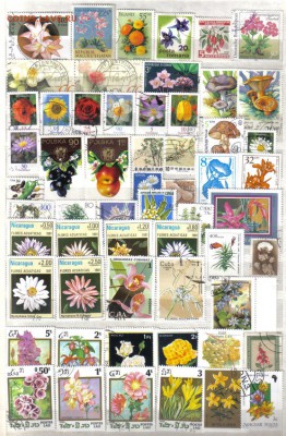 Марки мира Флора до 12.05 22.00мск - Марки мира Флора