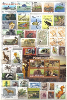 Марки мира Фауна до 12.05 22.00мск - Марки мира Фауна