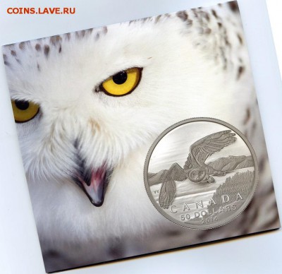 Канада. $50 за $50.#01-Полярная Сова. до 15.05.15 в 22.00 - file