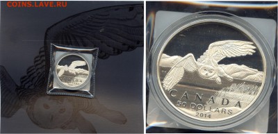 Канада. $50 за $50.#01-Полярная Сова. до 15.05.15 в 22.00 - file