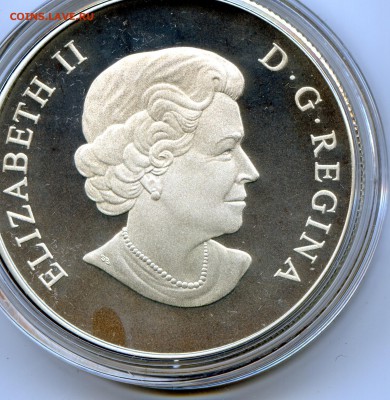 Канада.$100. Горные Бараны. до 15.05.15 в 22.00 - file