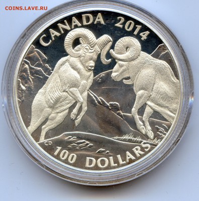 Канада.$100. Горные Бараны. до 15.05.15 в 22.00 - file