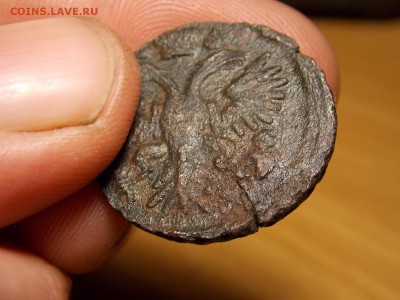 Раскол  Денга 1731г. - DSCN3719.JPG