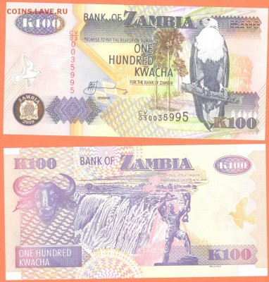 Замбия 100 квача, 2009 год, до 21.00 мск 18.05.2015 - Замбия 100 квача, 2009 год