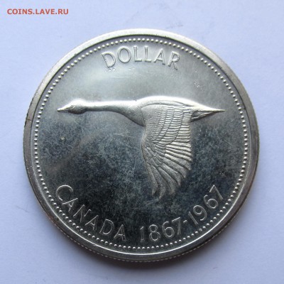 Канада  1 доллар 1967г до 17.05.15г до 22.00 Мск - IMG_9063