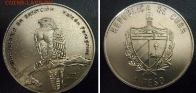 Куба. 1 песо. 2004г. Хоук Пилгрин. UNC. до 16.05. в 22.00 - 1 Peso (Hawk Pilgrin) 2004