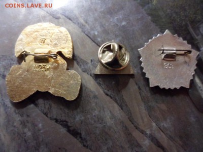 Значки ГТО (III ст), Заяц и ЗАО Алев оценка - SAM_3427.JPG