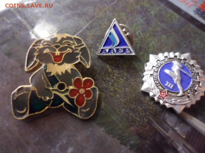Значки ГТО (III ст), Заяц и ЗАО Алев оценка - SAM_3426.JPG