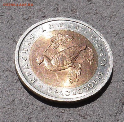Красная Книга 1992 "Краснозобая Казарка" UNC до 17.05 - P1010098.JPG