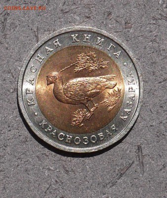 Красная Книга 1992 "Краснозобая Казарка" UNC до 17.05 - P1010094.JPG
