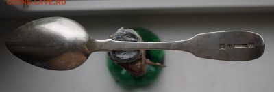 Серебряная ложка на оценку - IMG_9078.JPG
