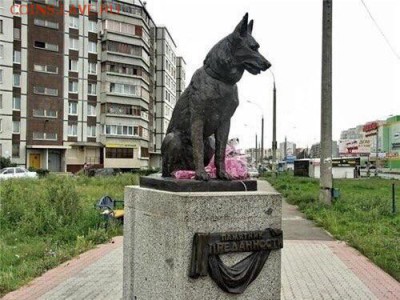 делает - прямо сейчас !!! - image