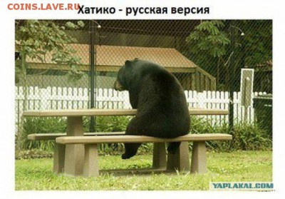 юмор - 4 tttre433