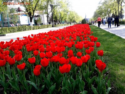 Самара на фото - IMG_20150512_174554