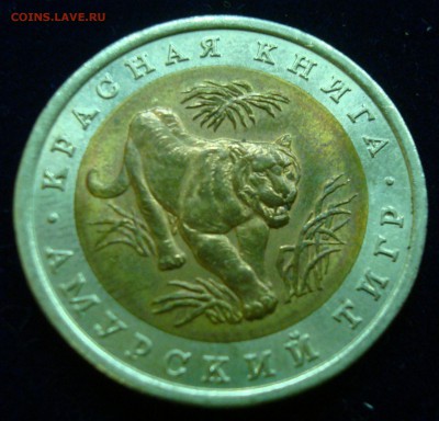 10 рублей 1992г. Амурский тигр до 20.05.15 - DSC00951.JPG
