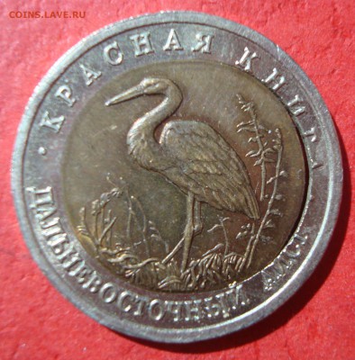 50р. 1993г. Аист  - вырубка до 20.05.15 - DSC01925.JPG
