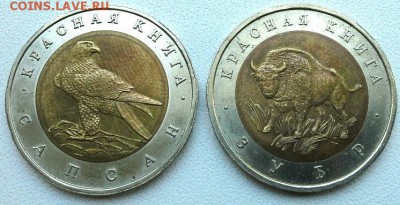 КРАСНАЯ КНИГА  ЗУБР, САПСАН    1994  до 18.05.15 - 20150515_102254(1)