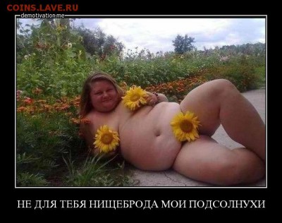 юмор - jzihgn1t2c9t
