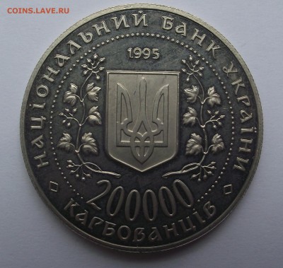 сэм - DSCF9223.JPG
