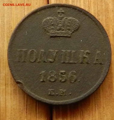 полушка 1856 ем до   - - --  17.05.15 22-00 по мск - DSCN8760