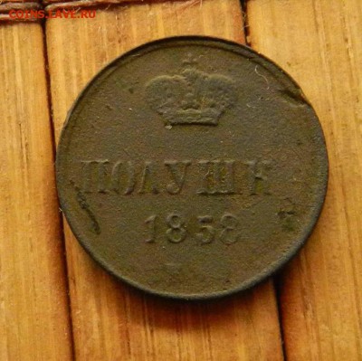 полушка 1858 ем до - - - - - 17.05.15 22-00 по мск - DSCN8784