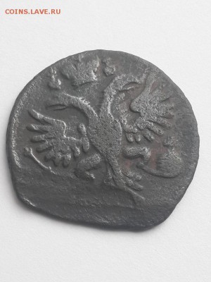 Денга 1731 брак? - денга 1731  (3)