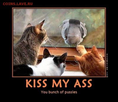 юмор - kiss-my-ass