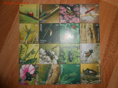 Мальта, чистые, 4 полные серии, Бабочки, Собаки, Насекомые - DSCN7730.JPG