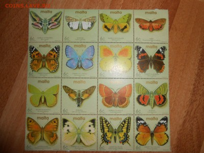 Мальта, чистые, 4 полные серии, Бабочки, Собаки, Насекомые - DSCN7729.JPG