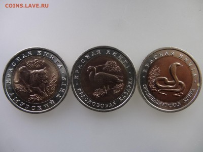 Красная книга 1992 года (3 штуки) до 21.05 22:00 МСК - DSC07319.JPG