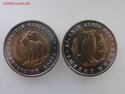 Красная книга 1991 года (2 штуки) до 21.05 22:00 МСК - DSC07323.JPG