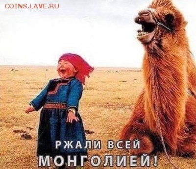 События на Украине. - -ржет над Украиной
