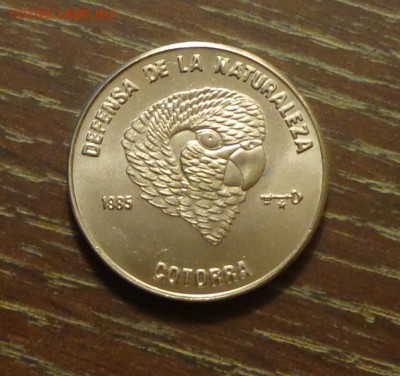 КУБА - ПОПУГАЙ АЦ до 24.05, 22.00 - Куба попугай