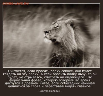 События на Украине. - image
