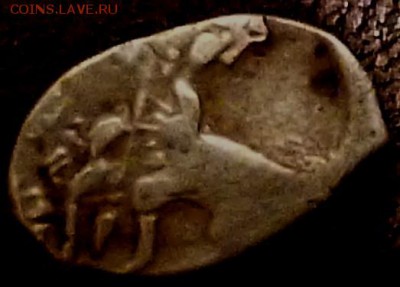 чешуя помогите определить и оценить - P1030499.JPG